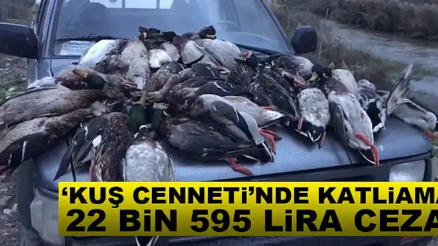 'Kuş Cenneti'nde katliama 22 bin 595 lira ceza