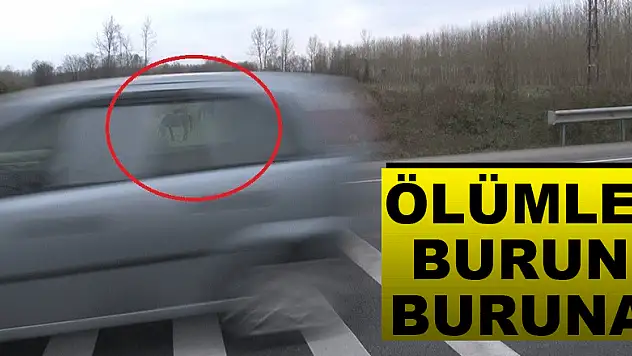 Ölümle burun buruna