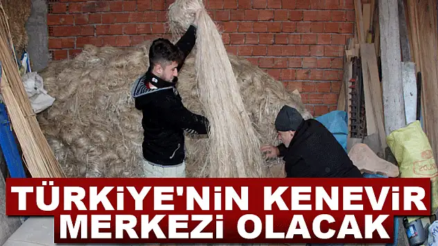 Türkiye'nin kenevir merkezi olacak
