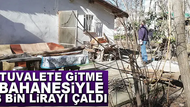 Tuvalete gitme bahanesiyle 3 bin lirayı çaldı