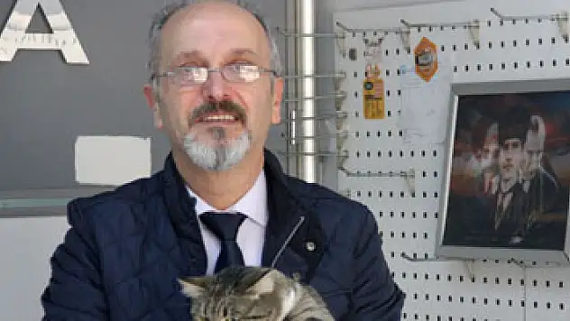 Baktığı sokak kedisi başına iş açtı