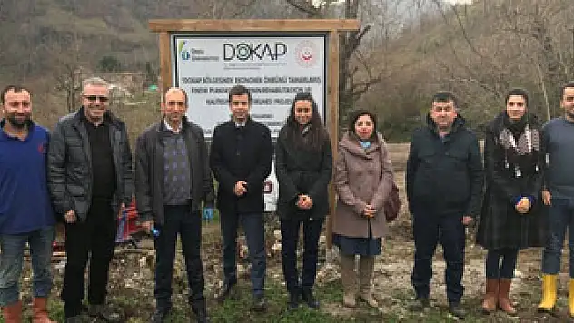 ODÜ'den fındık bahçelerinin yenilenmesine bilimsel destek