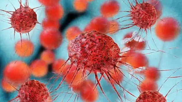 Meme kanseri en sık rastlanan kanser türü