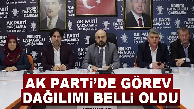 AK Parti'de görev dağılımı belli oldu