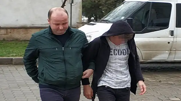 Parkta cep telefonu gasbına gözaltı 