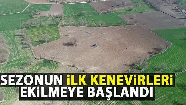 Sezonun ilk kenevirleri ekilmeye başlandı