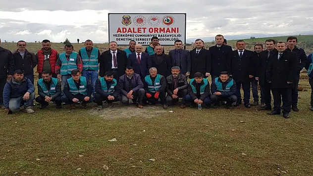 Vezirköprü'de 'Adalet Ormanı'na 500 fidan 
