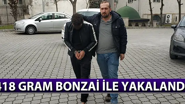 418 gram bonzai ile yakalandı 