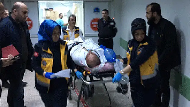 Kamyon şoförü başından vuruldu