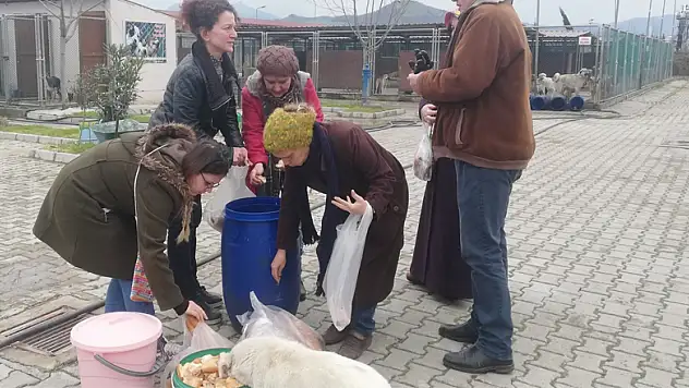 Hayvanları elleri ile beslediler 