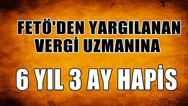  FETÖ'den yargılanan vergi uzmanına 6 yıl 3 ay hapis 