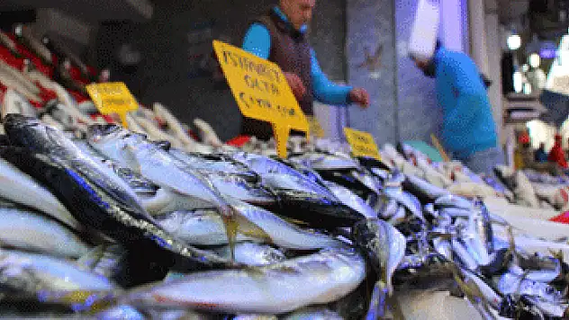 Balıkta bereketli sezon