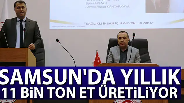 Samsun'da yıllık 11 bin ton et üretiliyor