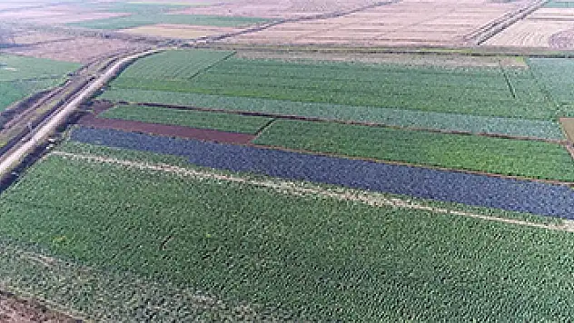 Kırsaldan kente göçü önlemek için üreticiye destek