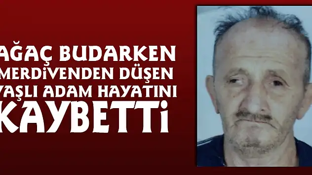 Ağaç budarken merdivenden düşen yaşlı adam hayatını kaybetti