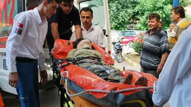 İneğin sürüklediği kadın hastanelik oldu