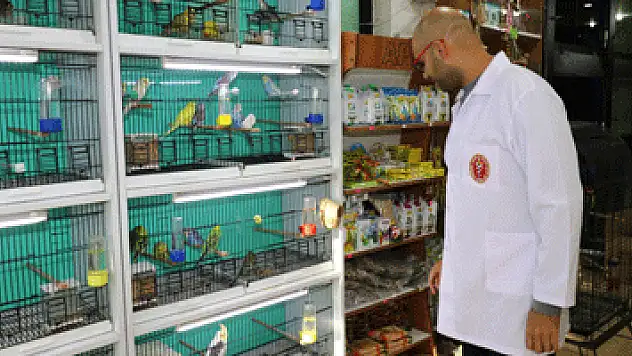 Ev ve süs hayvanı satış yerleri denetleniyor