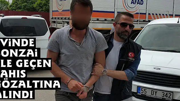 Evinde bonzai ele geçen şahıs gözaltına alındı