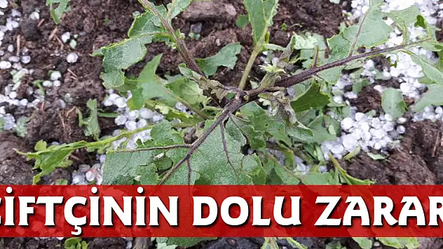 ÇİFTÇİNİN DOLU ZARARI