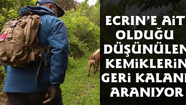 Ecrin'e ait olduğu düşünülen kemiklerin geri kalanı aranıyor