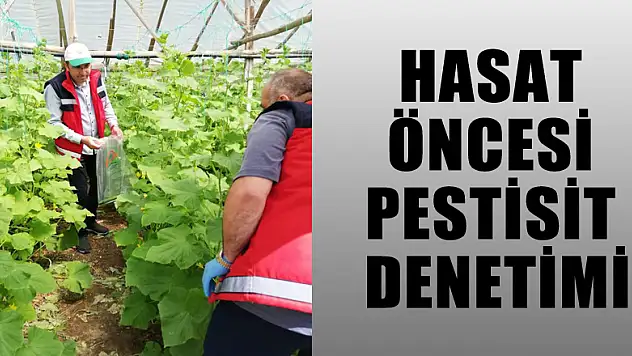 HASAT ÖNCESİ PESTİSİT DENETİMİ
