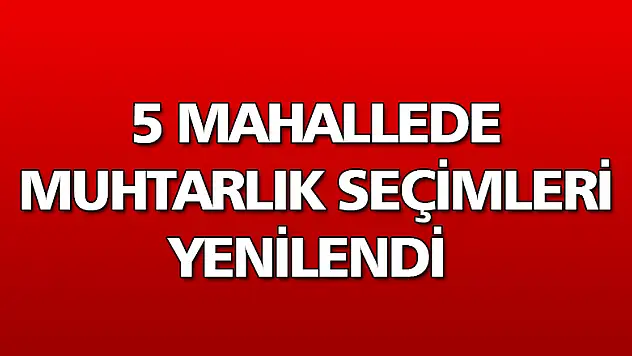 5 mahallede muhtarlık seçimleri yenilendi 