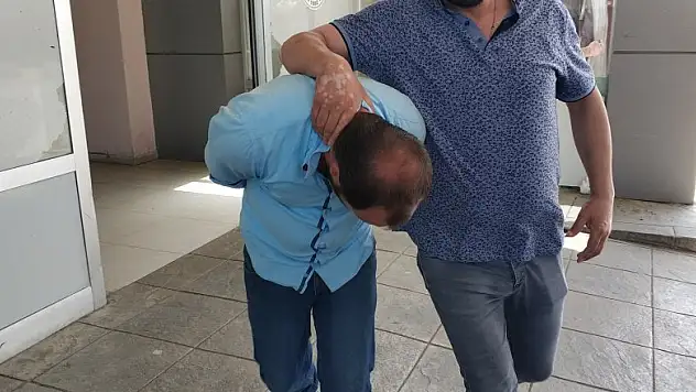 İstanbul'dan bonzai getirirken yakalandılar 