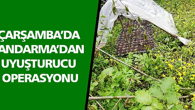 Jandarmadan uyuşturucu operasyonu 