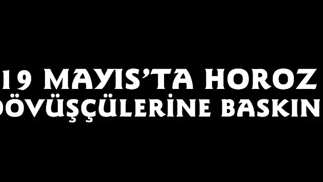 19 Mayıs'ta horoz dövüşçülerine baskın