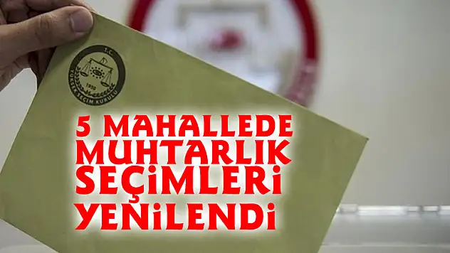 5 mahallede muhtarlık seçimleri yenilendi 
