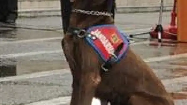 Vida, 86 kilo uyuşturucu buldu