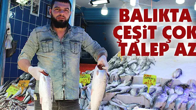 Balıkta çeşit çok, talep az