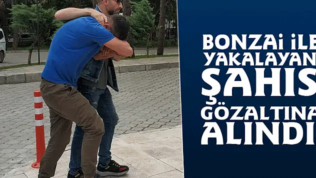 Bonzai ile yakalayan şahıs gözaltına alındı 