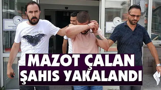 Mazot çalan şahıs yakalandı