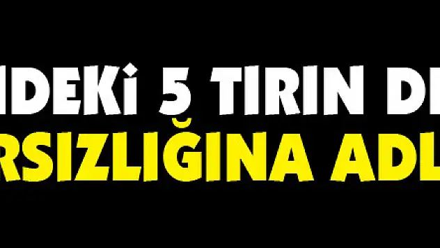 Park halindeki 5 tırın deposundan mazot hırsızlığına adli kontrol