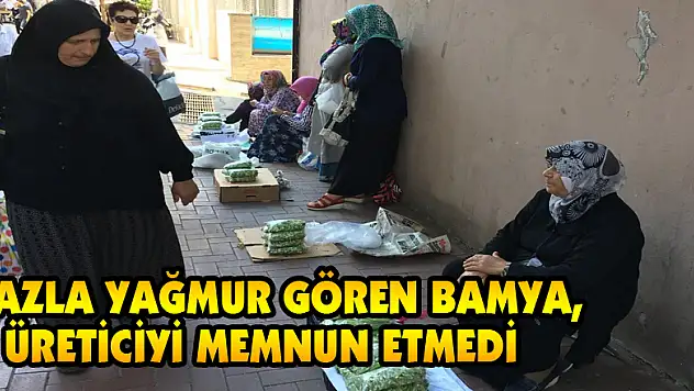  Fazla yağmur gören bamya, üreticiyi memnun etmedi 