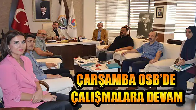 Çarşamba OSB'de çalışmalara devam