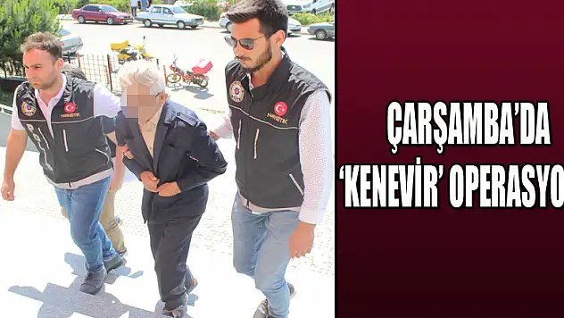 Çarşamba'da 'kenevir' operasyonu 