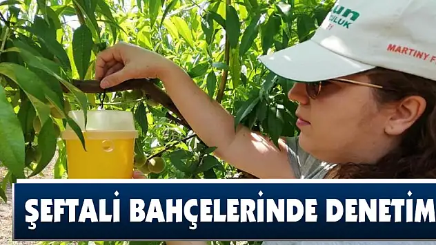 Şeftali bahçelerinde denetim