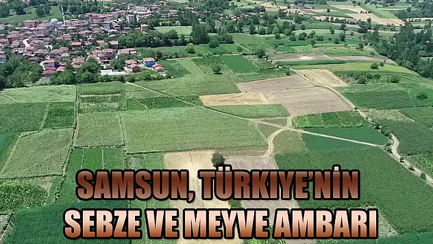 Samsun, Türkiye'nin sebze ve meyve ambarı  