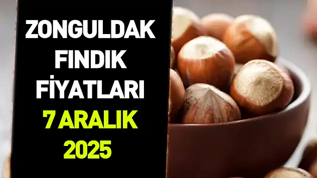 7 Aralık 2025 Zonguldak Fındık Fiyatı | Piyasa Sakin ve Kontrollü İlerliyor