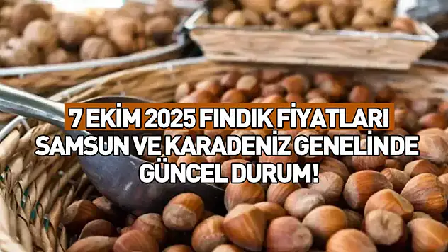 7 Ekim 2025 Fındık Fiyatları: Samsun ve Karadeniz Genelinde Güncel Durum!