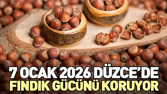 7 Ocak 2026 Düzce'de Fındık Gücünü Koruyor