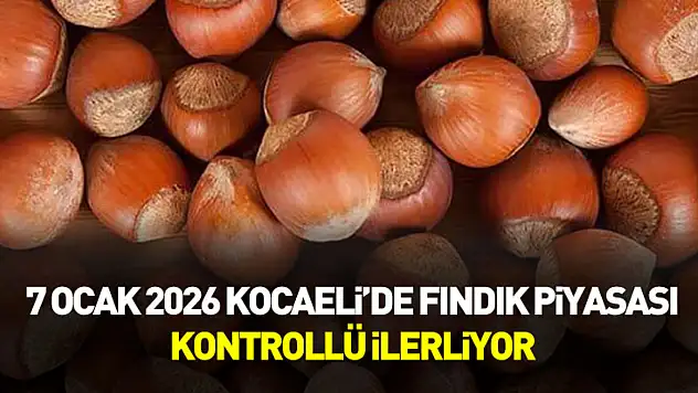 7 Ocak 2026 Kocaeli'de Fındık Piyasası Kontrollü İlerliyor