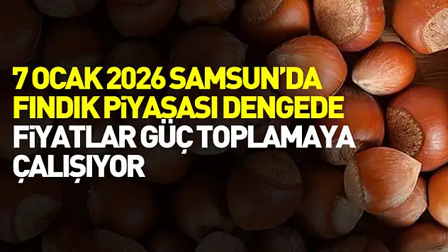 7 Ocak 2026 Samsun'da Fındık Piyasası Dengede: Fiyatlar Güç Toplamaya Çalışıyor