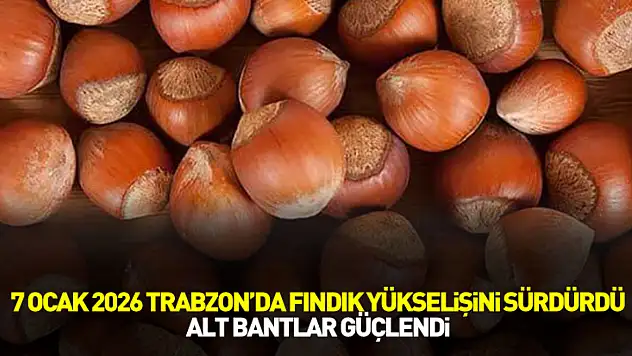 7 Ocak 2026 Trabzon'da Fındık Yükselişini Sürdürdü: Alt Bantlar Güçlendi
