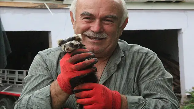 Nesli tehlike altında olan alacasansarları elleriyle besliyor 