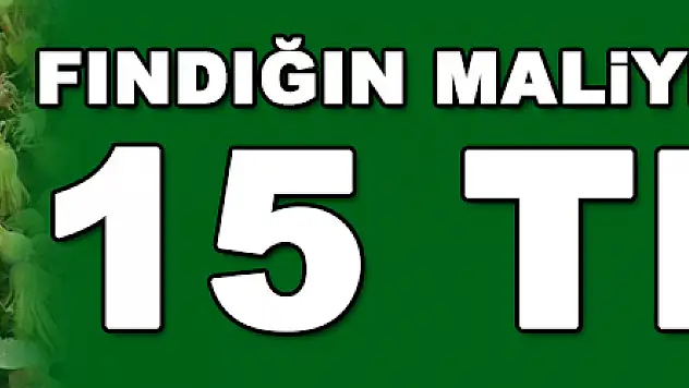 Fındığın maliyeti 15 TL olarak belirlendi