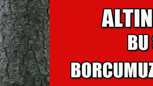 Altın 'eldiven': 'Bu sezon borcumuzu ödeyeceğiz' 