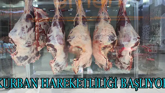 Kurban Hareketliliği başlıyor